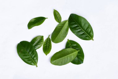 Beyaz arka planda yeşil çay yaprakları, çay yapmak için temel malzemelerdir.