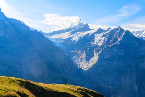 Άποψη Του Βουνού Schreckhorn Bernese Άλπεις Ελβετία — Φωτογραφία Αρχείου