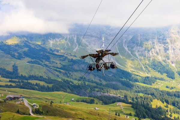 Grindelwald Primeira Atividade Pico First Glider Suíça Voando Com Pássaro — Fotografia de Stock