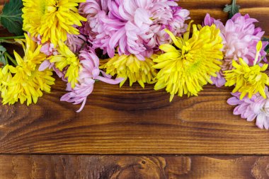 Ahşap arka planda güzel kasımpatılar. Üst görünüm, alanı kopyala