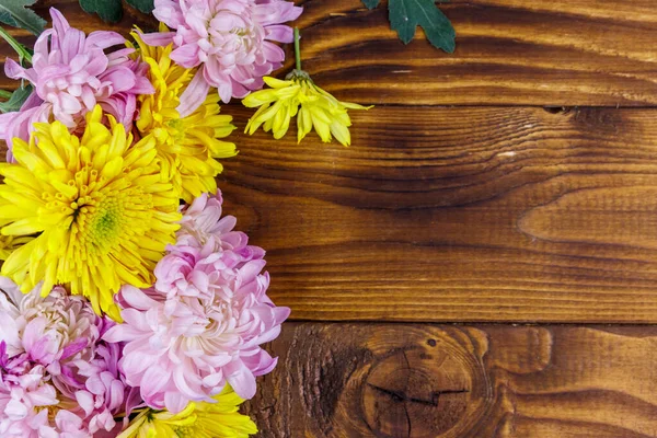Hermosos Crisantemos Sobre Fondo Madera Vista Superior Espacio Copia — Foto de Stock