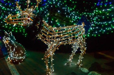 Geceleri yılbaşı geyiği aydınlatılıyor. Bir şehir parkında Noel ve yeni yıl tatili için dekorasyon