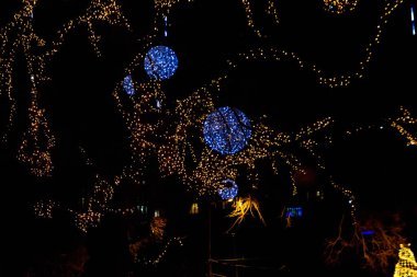 Şehir parkında çok renkli Noel ışıkları olan dekore edilmiş bir ağaç.