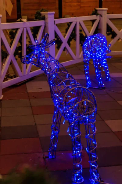 stock image Illuminated Christmas deer at night. Decoration for Christmas and New Years holidays in a city park