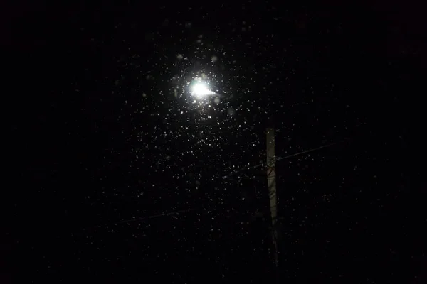 Lampa Uliczna Zimową Noc Podczas Opadów Śniegu — Zdjęcie stockowe
