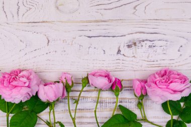 Beyaz ahşap arka planda pembe güller. Üst görünüm, alanı kopyala
