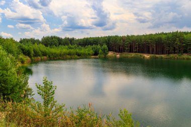 Yazın bir çam ormanında güzel bir göl manzarası