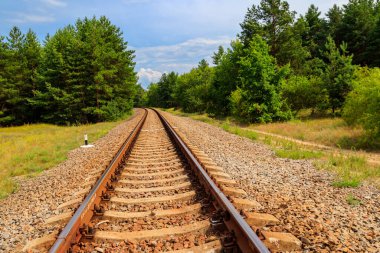 Yeşil bir çam ormanının içinden geçen tren yolu.