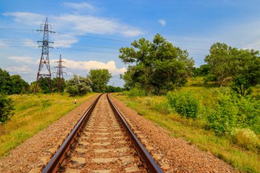 Yeşil bir çam ormanının içinden geçen tren yolu.