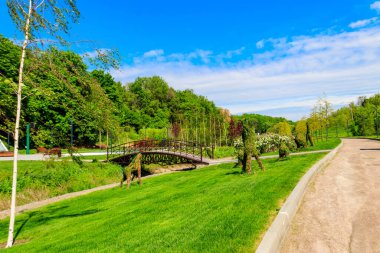 Şehir parkının güzel manzarası küçük nehir ve genç ağaçlar arasında kemerli yaya köprüsü var.