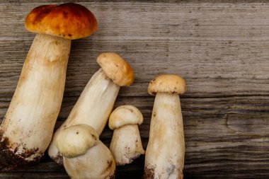 Köy ahşap masada taze toplanmış porcini mantarları. Üst görünüm