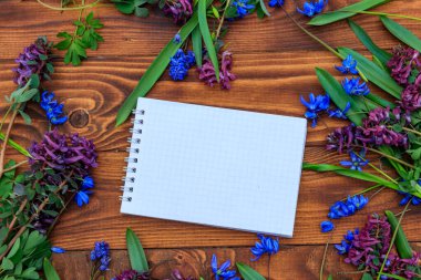 Boş not defteri ve ahşap arka planda mor Corydalis çiçekleri ve mavi scilla çiçekleri. Sevgililer Günü, Kadınlar Günü ve Anneler Günü için tebrik kartı. Üst görünüm, alanı kopyala