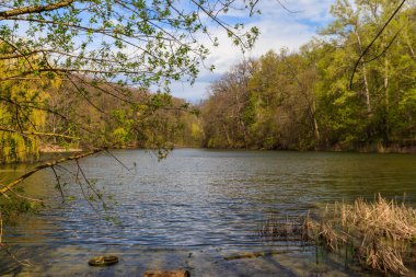 Yeşil bir ormanda güzel bir göl manzarası