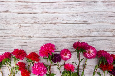 Ahşap arka planda Aster çiçekleri. Üst görünüm, alanı kopyala
