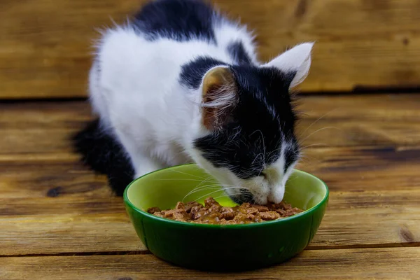 Kitten eating his food from ceramic bowl on wooden floor