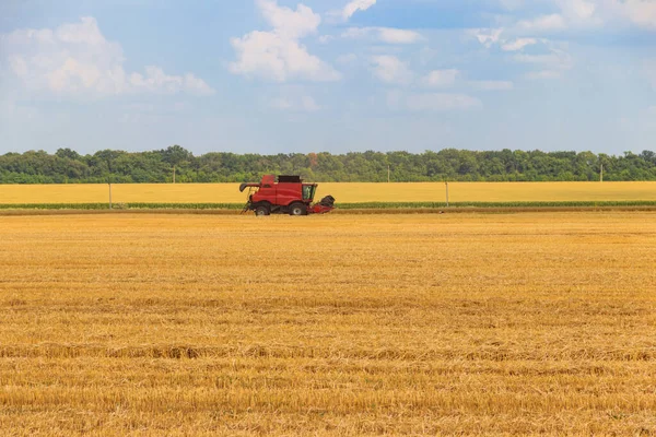 Kombinovat Kombajn Pracující Pšeničném Poli Sklizeň Pšenice Koncept Zemědělství — Stock fotografie
