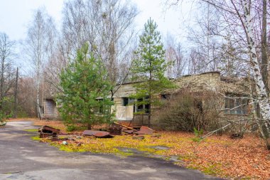 Çernobil Yasak Bölge, Ukrayna 'daki Pripyat hayalet kasabasında terk edilmiş eski bir ev.