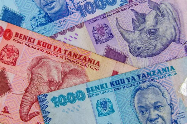 Achtergrond Van Verschillende Tanzaniaanse Shillings Bankbiljetten — Stockfoto