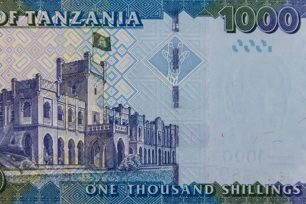 Makró Felvétel Ezer Tanzániai Shilling Bankjegyről — Stock Fotó