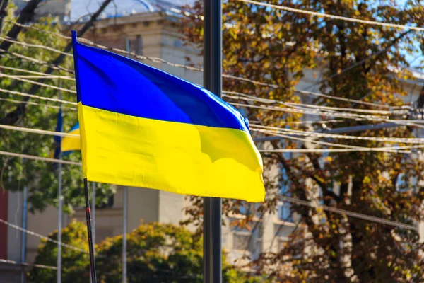 Acenando Bandeira Azul Amarela Ucrânia — Fotografia de Stock