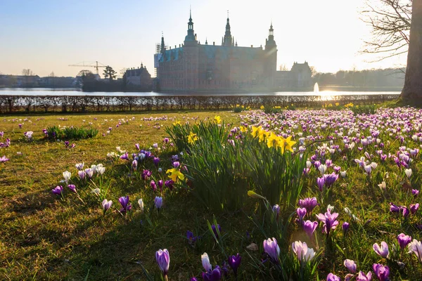 stock image View of Frederiksborg castle in Hillerod, Denmark. Beautiful lake and garden with crocuses and daffodils on a foreground