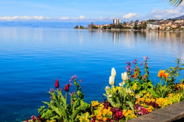 Alp Dağları 'nda renkli bahar çiçekleri ve İsviçre' nin Montreux kentindeki Cenevre Gölü 'nün güzel manzarası.