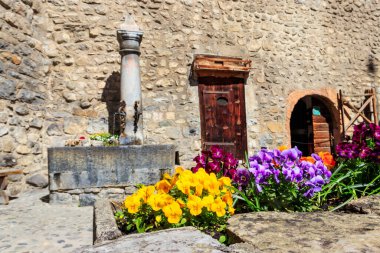 Chillon kalesinin avlusunda içme suyu olan çeşme. Önplanda renkli hanım evlatları (viyola üç renkli) yatağı
