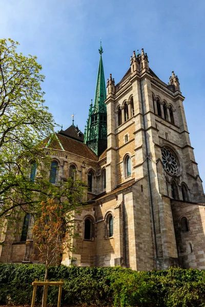 瑞士日内瓦圣彼得大教堂 — 图库照片