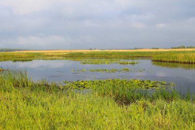 View of a river Dnieper clipart