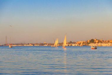 Felucca tekneleri Lüksör, Mısır 'da Nil nehrinde yelken açıyorlar. Geleneksel Mısır yelkenli tekneleri