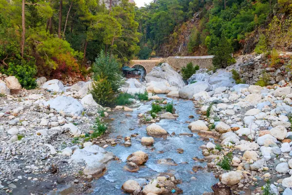 stock image Ancient stone bridge across a mountain river in Kesme Bogaz canyon, Antalya province in Turkey