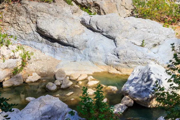 Scenic Landscape Beautiful Mountain Brook Idyllic Scenery Clear Water Small — Stock Photo, Image