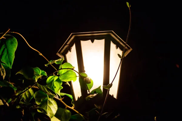 Lanterna Stradale Vintage Illuminata Notte — Foto Stock