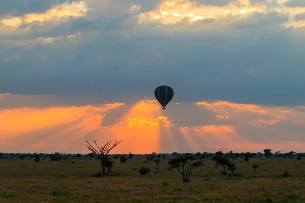 Hot Air Balloon Serengeti National Park Tanzania Sunrise Royalty Free Stock Images