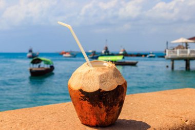 Stone Town, Zanzibar, Tanzanya 'da okyanus kenarında pipet içilen taze tropikal hindistan cevizi kokteyli.