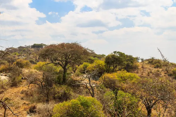 Serengeti Milli Parkı, Tanzanya