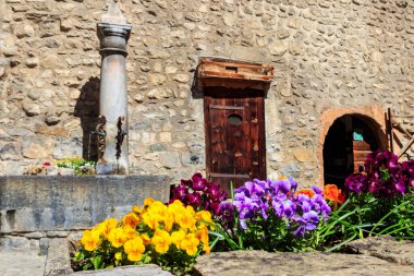Chillon kalesinin avlusunda içme suyu olan çeşme. Önplanda renkli hanım evlatları (viyola üç renkli) yatağı