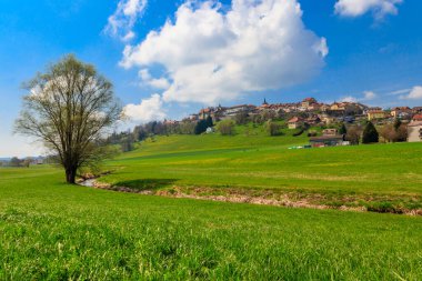 İsviçre 'nin eski Romont kasabası Freibourg kantonunda bir kaya parçası üzerine inşa edilmiş.