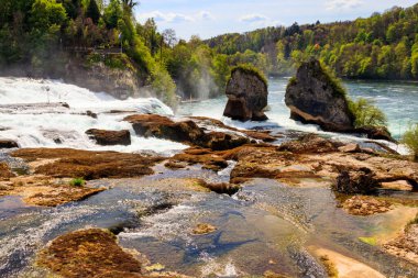 İsviçre 'nin Schaffhausen kantonundaki Rhine Falls manzarası. Avrupa 'nın en güçlü şelalesi