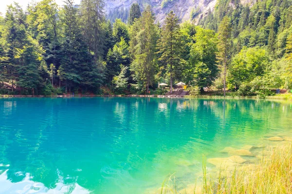 Λίμνη Blausee Blue Lake Στο Bernese Oberland Kandergrund Ελβετία — Φωτογραφία Αρχείου