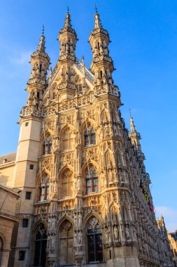 Belediye Binası, leuven, Belçika