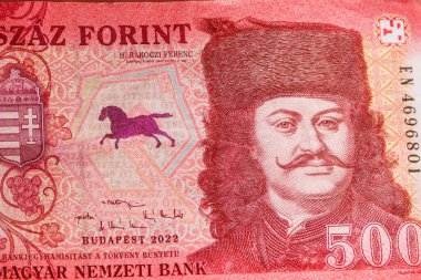 500 Macar forint banknotunun makro çekimi