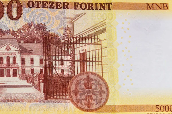 000张匈牙利福林钞票的宏观拍摄 — 图库照片