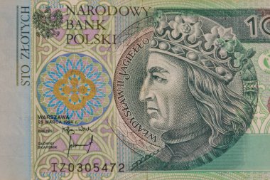 100 Polonyalı zloti banknotunun makro çekimi