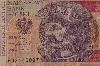 20 Polonyalı zloti banknotunun makro çekimi