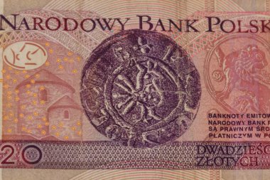 20 Polonyalı zloti banknotunun makro çekimi