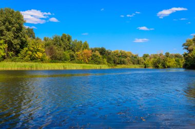 Güzel bir nehir, yeşil ağaçlar ve mavi gökyüzü olan yaz manzarası