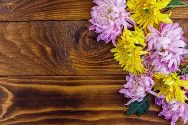 Ahşap arka planda güzel kasımpatılar. Üst görünüm, alanı kopyala