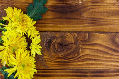 Ahşap arka planda sarı kasımpatılar. Üst görünüm, alanı kopyala