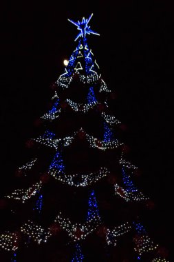 Geceleyin çok renkli ışıklarla süslenmiş Noel ağacı